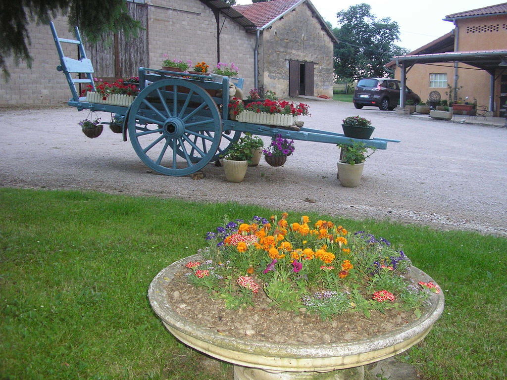 Domaine De La Belliere Hotel Villars-les-Dombes Kültér fotó