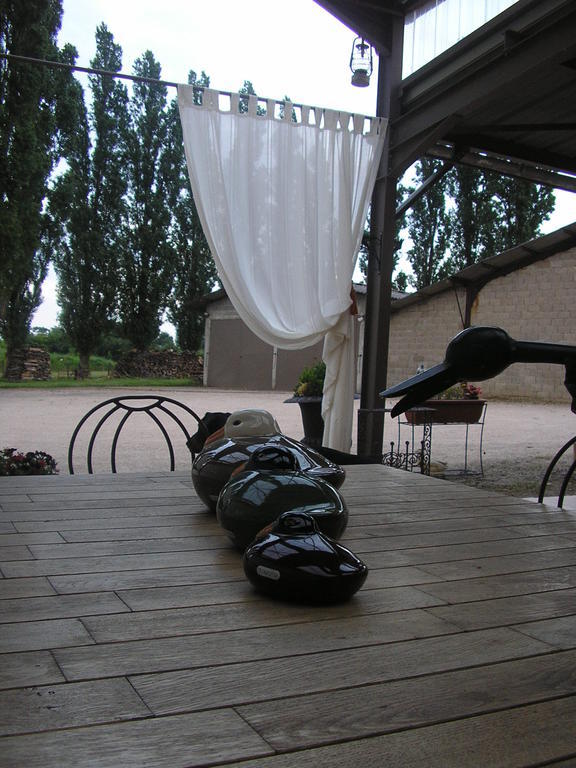 Domaine De La Belliere Hotel Villars-les-Dombes Kültér fotó