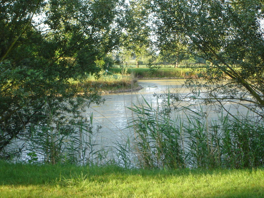 Domaine De La Belliere Hotel Villars-les-Dombes Kültér fotó